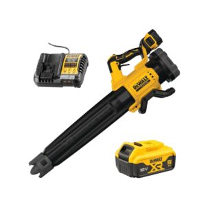 Dewalt DCMBL562P1-QW Souffleur XR 18V – 1 X 5,0Ah Batterie + chargeur